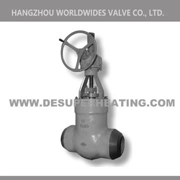 Oțel teșit Gear Industrial Gate Valve